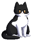 Gacha Animation